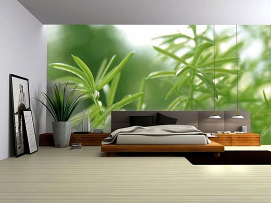 Chọn cây cảnh cho phòng ngủ